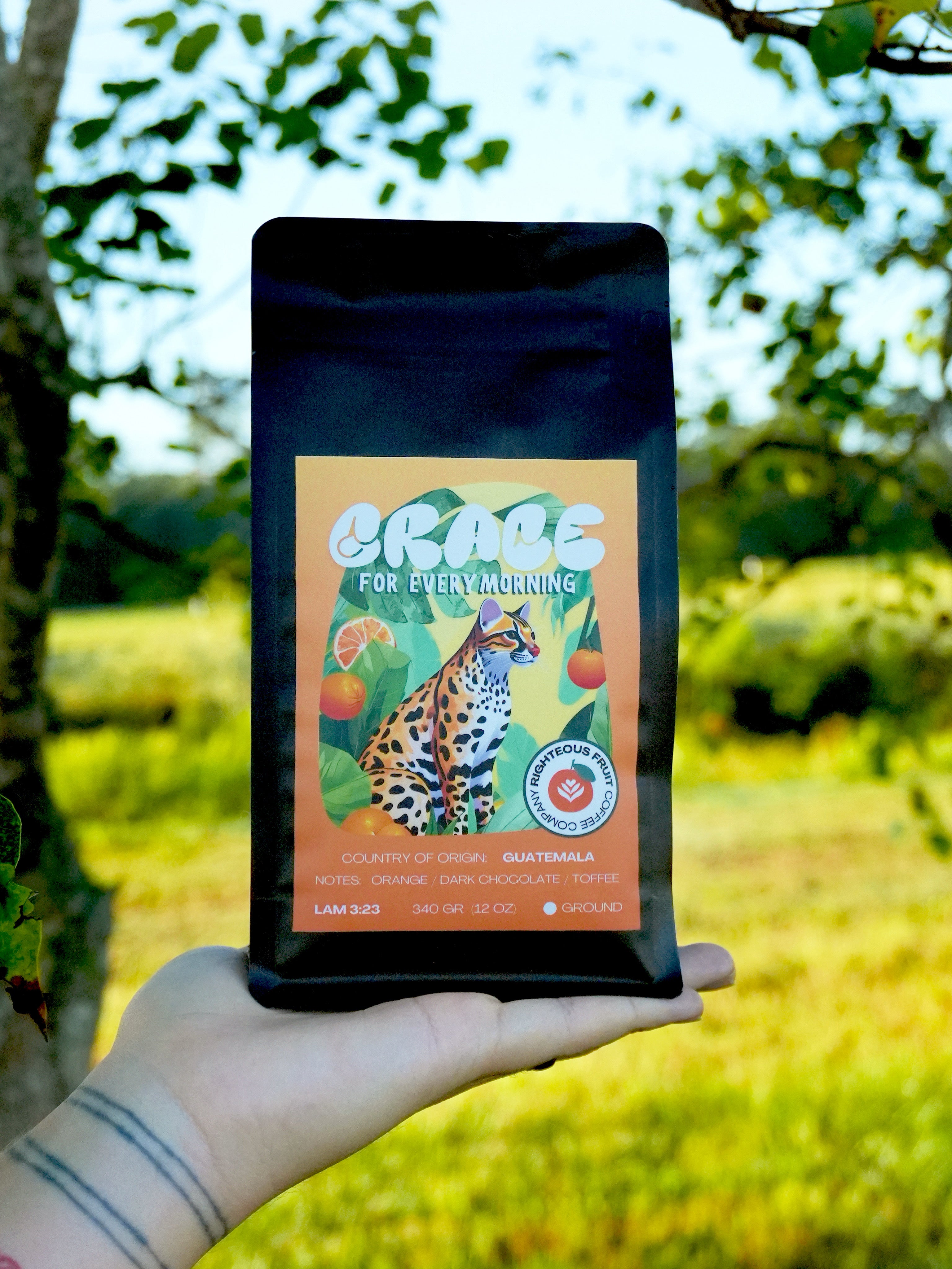 GRACE FOR EVERY MORNING - Medium Light Roast